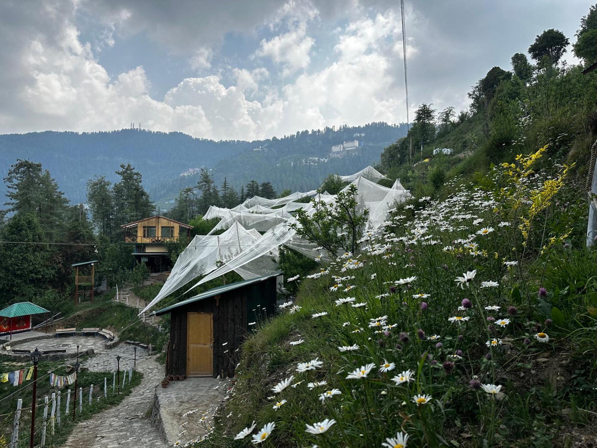 Daak Bangla Retreat Hotel Kufri Eksteriør billede