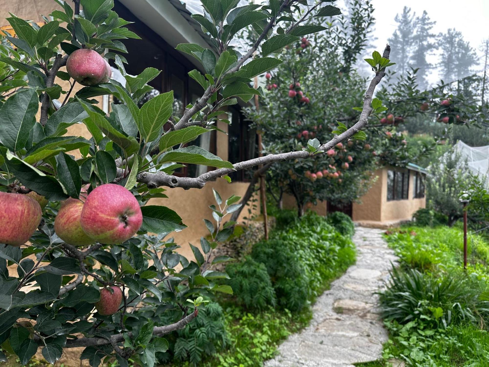 Daak Bangla Retreat Hotel Kufri Eksteriør billede