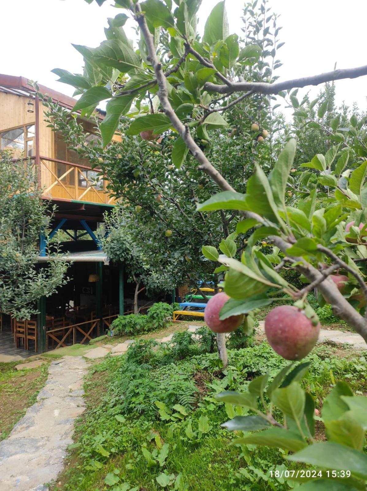 Daak Bangla Retreat Hotel Kufri Eksteriør billede