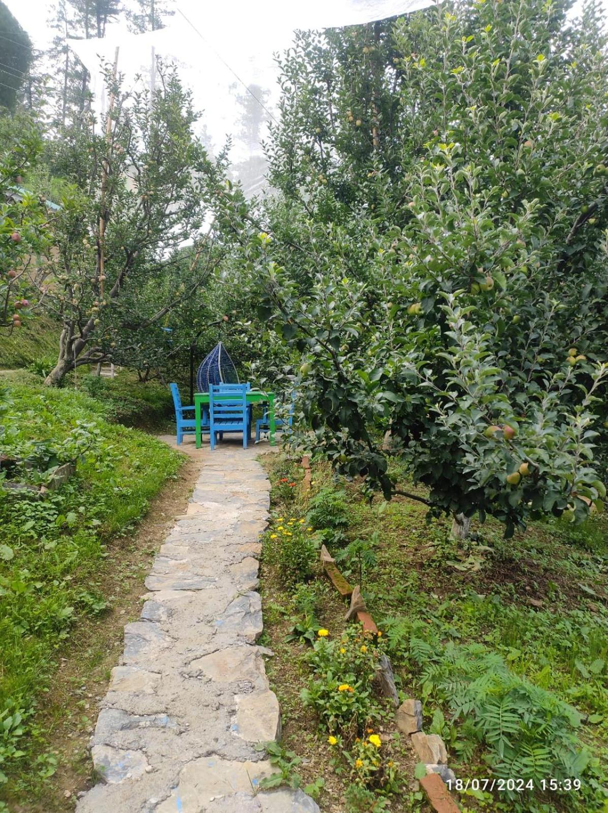 Daak Bangla Retreat Hotel Kufri Eksteriør billede
